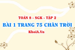Bài 1 trang 75 Toán 8 Chân trời sáng tạo Tập 2